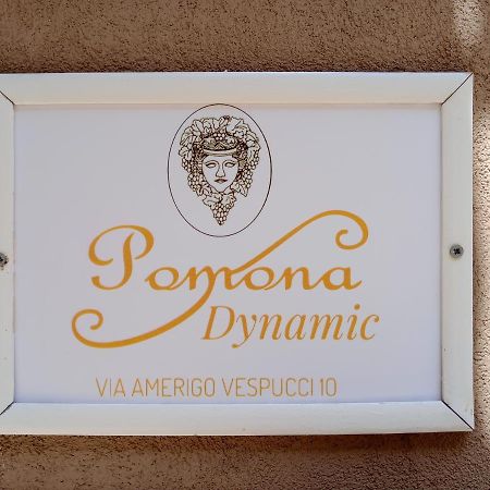 Pomona Dynamic Noto Exterior foto