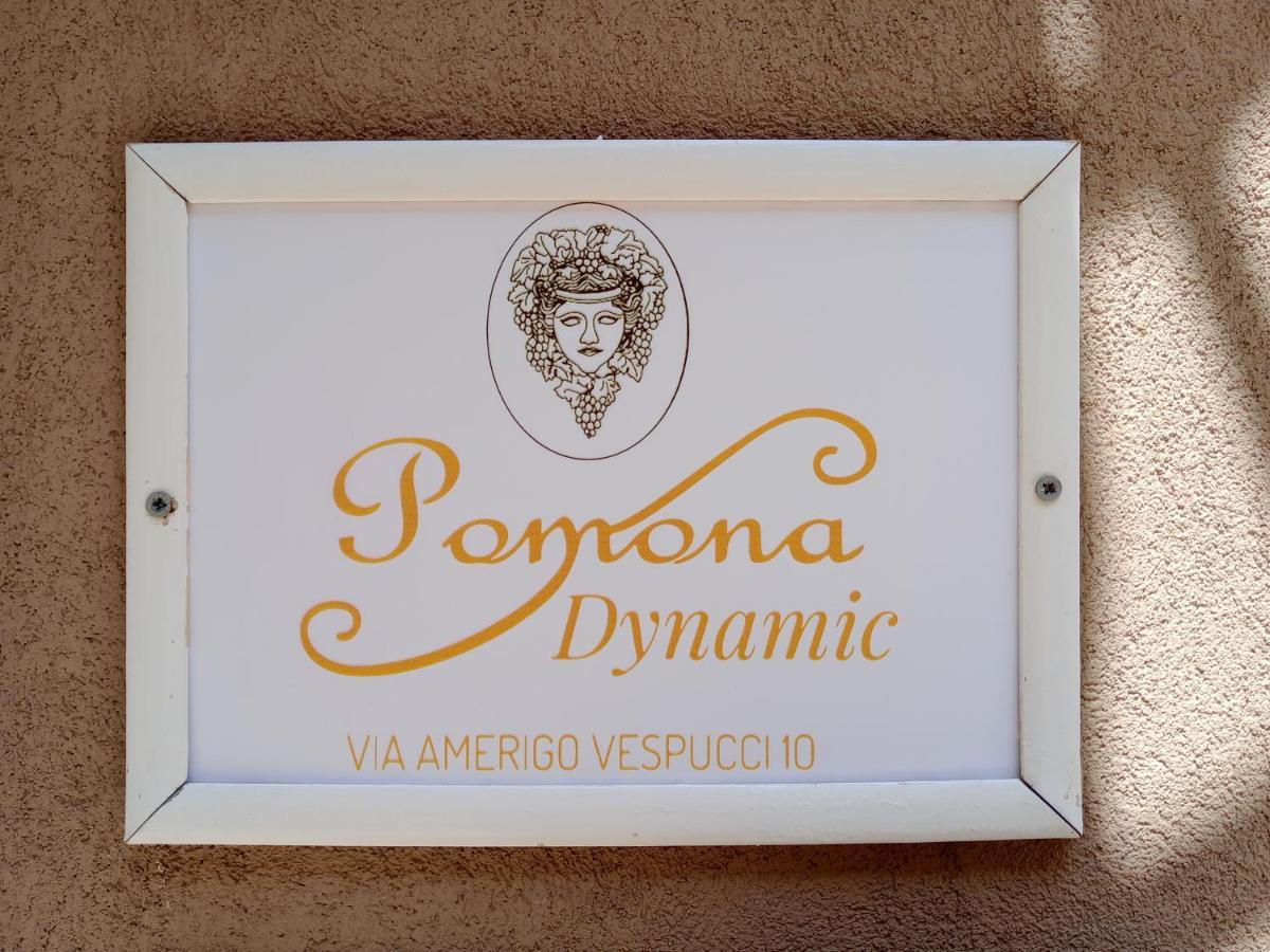 Pomona Dynamic Noto Exterior foto